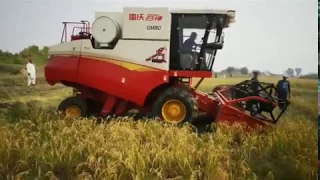 LOVOL combine harvester is working for rice harvesting