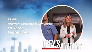 Grey's Anatomy Soundtrack - "Ya Veran" by Quitapenas (15x06)