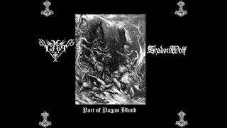 1389/ShadowWolf - Pact Of Pagan Blood  (Split) (Promo Trailer)