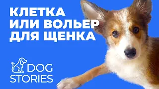 Клетка или вольер? 🐕 Нужно ли ограничение для воспитания щенка 🐩 Дрессировка послушной собаки 🐾