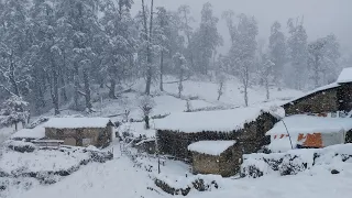 SNOW , Relaxation  Winter  Lifestyle In Nepal - Peaceful Relaxing Mountain Village   - Barekot Nepal