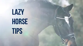 How to ride a LAZY horse