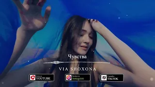 Artik & Asti - Чувства (COVER BY VIA SHOXONA)