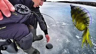 НЕ МОГУ ЕГО ПОДНЯТЬ! БЕЗМОТЫЛКА РАЗДАЧА РЫБЫ