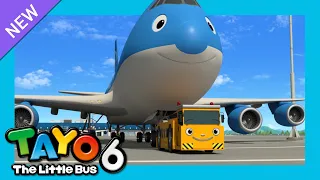 Tayo S6 EP9 My friend Cargo l Tayo's New plane buddy l Tayo English Episodes l Tayo the Little Bus