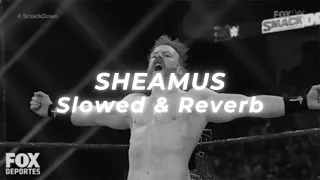 WWE - Written in My Face (Slowed and Reverb) (Sheamus)