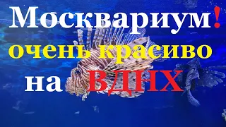 МОСКВАРИУМ 2021 на ВДНХ  Это стоит посмотреть