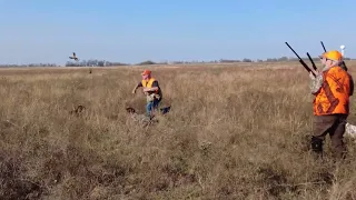 chucker hunting in Kansas