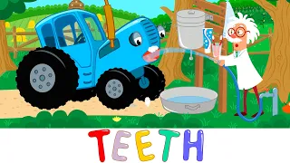 Brush Your Teeth Song - Blue Tractor Kids Songs & Cartoons