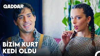 Müdür’ün Kızı ile Kurt First Date ❤ - Gaddar 13. Bölüm