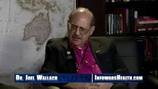 Infowars Nightly News 2012-12-04 Tuesday - Ben Fuchs - Joel Wallach