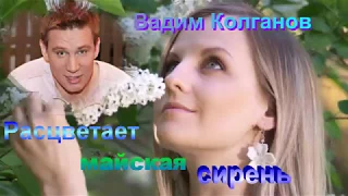 Расцветает майская сирень