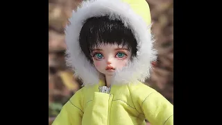 1/6 Bee Doll BJD Yosd Doll