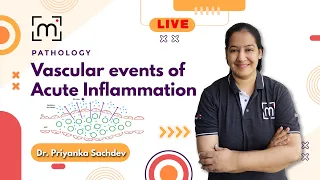 Understanding Vascular Events of Acute Inflammation | MedLive by Dr. Priyanka