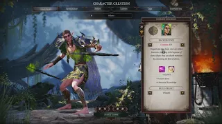 Divinity: Original Sin 2 - Dicas para o início do jogo (criação do personagem) parte 1