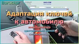 Адаптация ключей зажигания VAG - привязка к Passat B5 - как привязать ключ vw, passat, audi, skoda