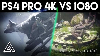 The Last Guardian PS4 Pro 4K vs 1080p Gameplay