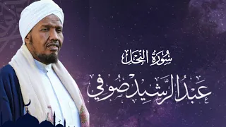 Sheikh AbdulRashid Ali Sufi Surah An-Nahl - الشيخ عبد الرشيد علي الصوفي سورة النحل