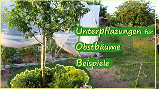 Unterpflanzungen für Obstbäume Beispiele / Permakultur