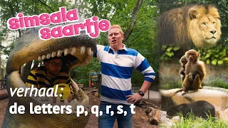 HET ALFABET (4/5) p, q, r, s, t 🐒🦁🐻 | SIMSALA SAARTJE 🐽 | Educatieve Kleutertelevisie | Dierentuin