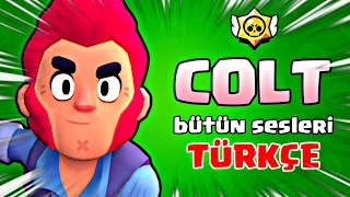 COLT BÜTÜN SESLERİ TÜRKÇE ANLAMI - Brawl Stars