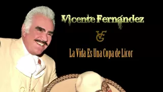 Vicente Fernández - La Vida Es una Copa de Licor (Cover Audio)