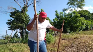 Sembrando el cultivo de ayote