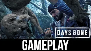 DAYS GONE 1 HOUR OF GAMEPLAY