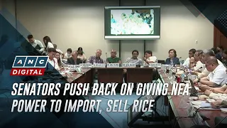 Senators push back on giving NFA power to import, sell rice | ANC