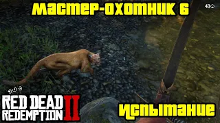 Прохождение RDR 2 на 100% - Испытание: Мастер-охотник 6 (Глава 2 - Нагорье Подкова)