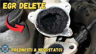 EGR Delete - prednosti i nedostatci