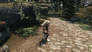 Skyrim: Parkour in Skyrim (A Jump Animations Replacer)