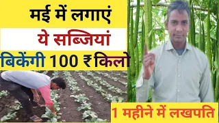 मई 2024 में लगाएं ये सब्जियां। In may vegetable to grow।।