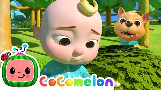 Where Has My Little Dog Gone? | CoComelon Animal Time | Animal Songs for Kids