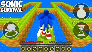 SONIC SURVIVAL in MINECRAFT! HOW TO PLAY SONIC THE HEDGEHOG Minecraft REALISTIC GAMEPLAY!