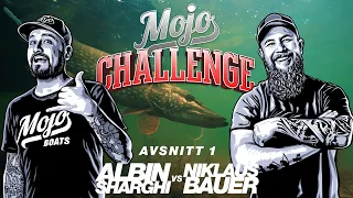Mojo Challenge - Avsnitt 1 - Albin Sharghi VS Niklaus Bauer