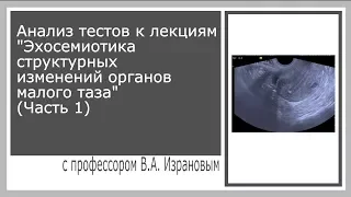 Анализ тестов к лекциям "Эхосемиотика структурных  изменений органов малого таза" (Часть 1)