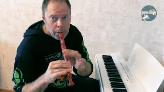 Prodigy's song   3 Kilos (chelnoise flute cover)