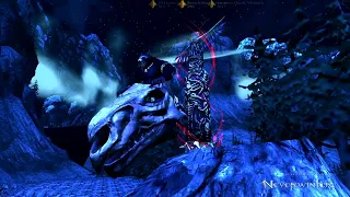 Vellosk, Run for the wolfs head -Neverwinter Parkour