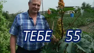 Юбилей 55 лет Доценко Сергея Николаевича