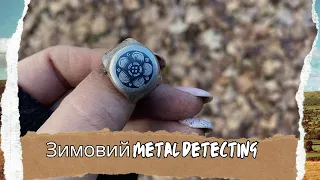 Зимовий metal detecting