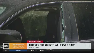 At least 7 cars broken into overnight in Near West Side neighborhood