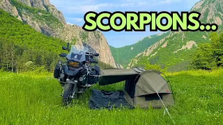 Camping with Scorpions! Wingman of the Road - Toucan Tent