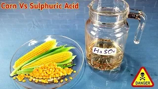 Experiment Toilet Paper VS Sulphuric Acid