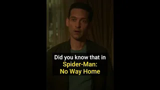 Did You Know That In Spider-Man: No Way Home