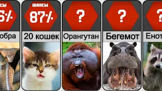 Человек VS Животные: Кто выживет?