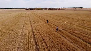 CARRERA DE GALGOS CON DRON *modo película*