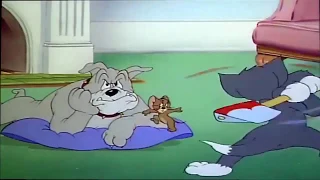 Tom and Jerry - Quiet Please | Tom and the Jerry Show