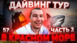 57. Дайвинг Тур в Красном море. Часть 2. Хургада. Увидели акулу!!!