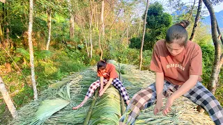 Full video: husband kicks wife out of house - builds new house with bamboo